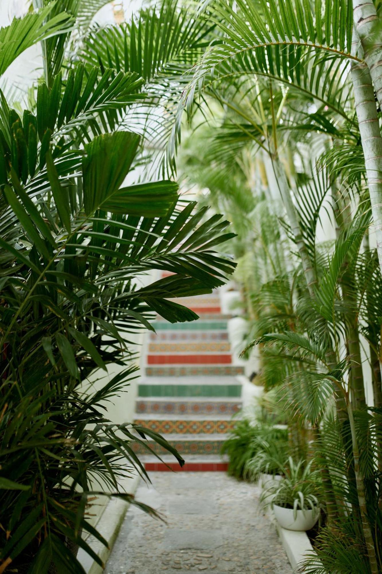 Hotel Ysuri Bucerías מראה חיצוני תמונה